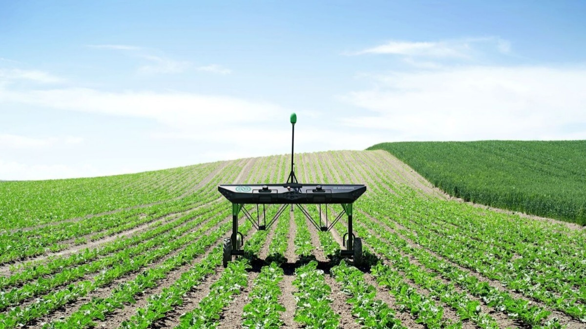 La startup ecoRobotix, ayant son siège basé à l'Y-Parc d'Yverdon-les-Bains, installe sa branche agricole à l'Agropôle. Sous serre en hiver et en pleins champ en été, elle développe un robot de traitement autonome et responsable.  